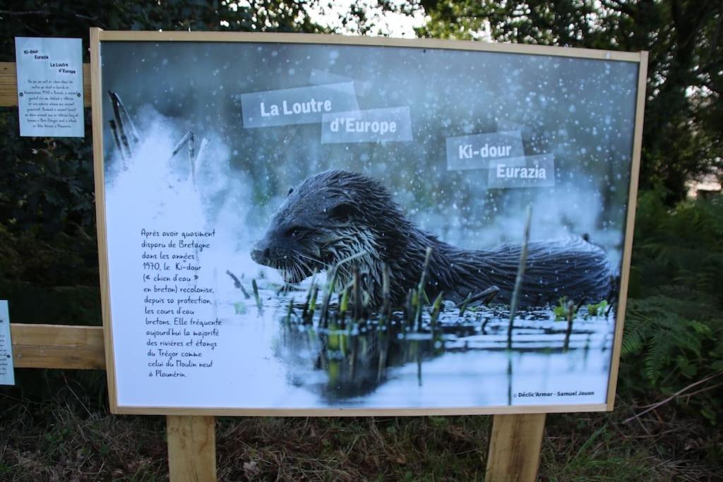 La Petite Bretonne Plounerin Exterior foto